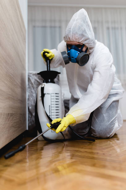 Best Bed Bug Extermination  in St Louis, MO